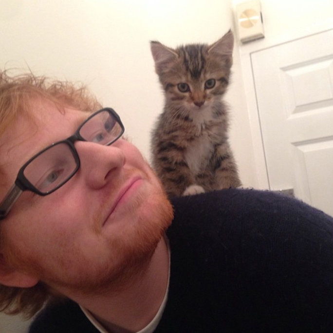 מתי he posed with his adorable kitten, Graham 