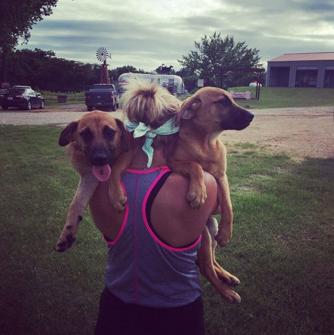 מירנדה Lambert and two rescue pups 