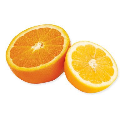 후원 Highlights with Citrus