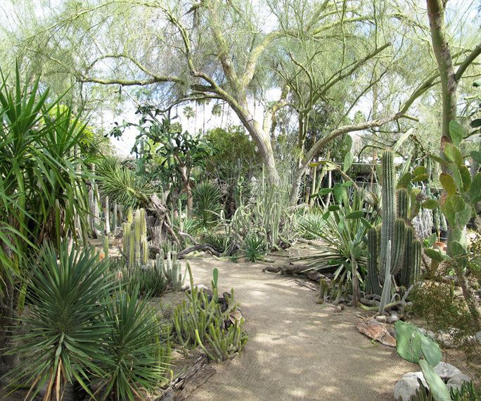 בקר Moorten Botanical Gardens in Palm Springs