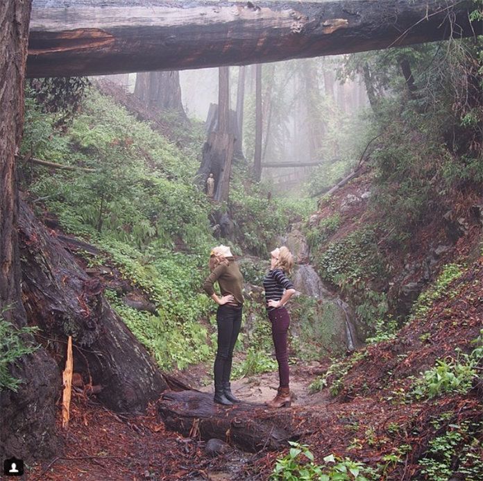 いつ they explored the forest together (and who is taller) on their Big Sur trip. 
