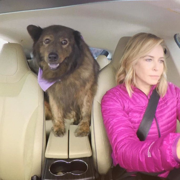 언제 Tammy was the ultimate backseat driver. 