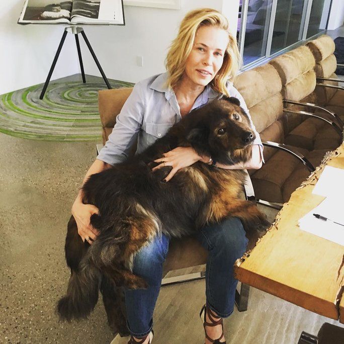 언제 Tammy didn’t care that she’s a little too big to be a lap dog. 