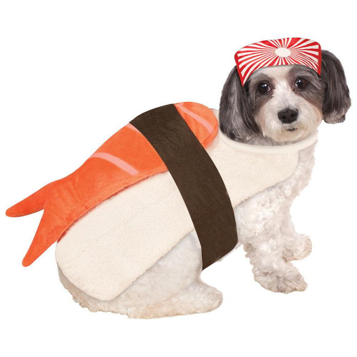 강아지 Costume 