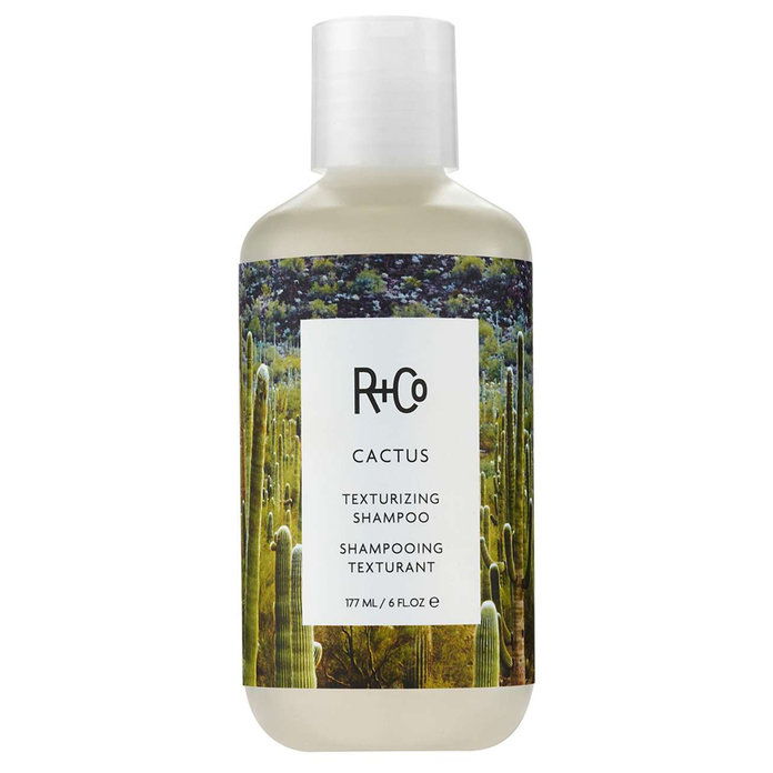 R + Co Cactus Texturizing Shampoo 
