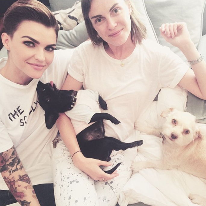 ルビー Rose with her fiancee and their two dogs