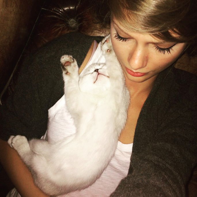 テイラー Swift and cat Olivia Benson 