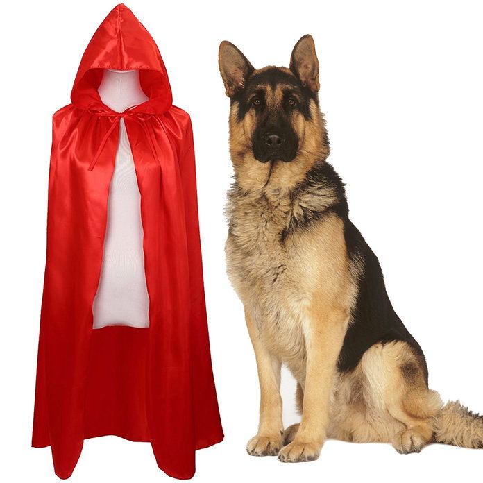 קטן Red Riding Hood and a Wolf 