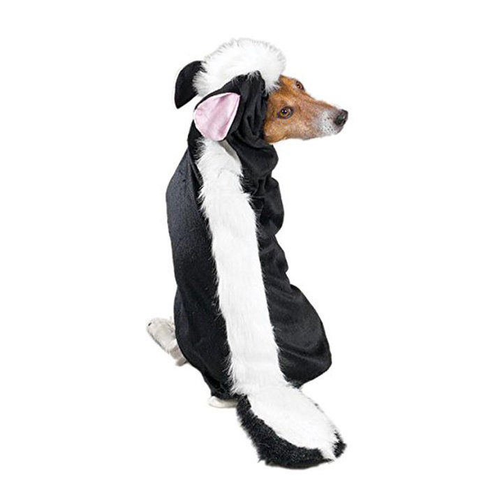 スカンク dog Halloween costume
