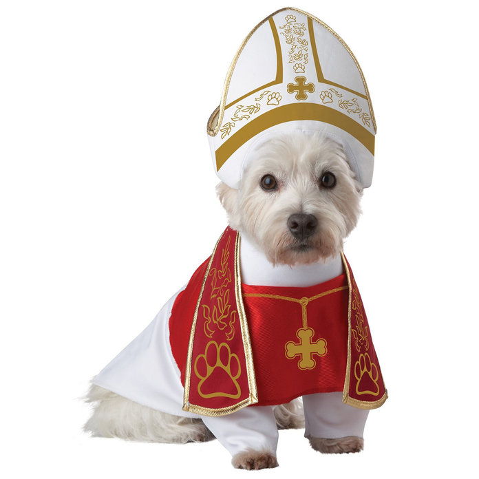 法王 dog Halloween costume