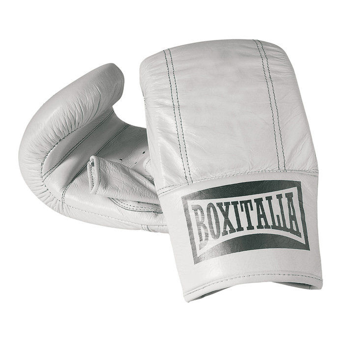 אוורלסט Pro Style Elite 12oz Training Boxing Gloves